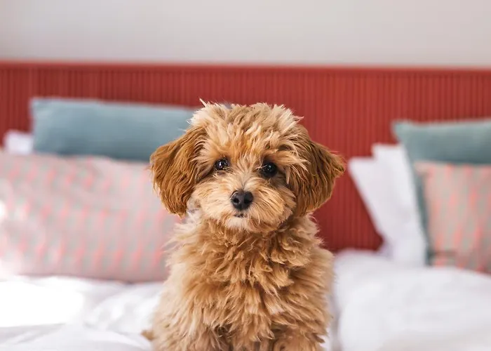 Hotel The Folks Konepaja 4*