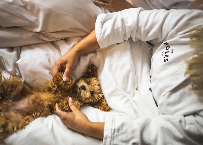 The Folks Konepaja 4*